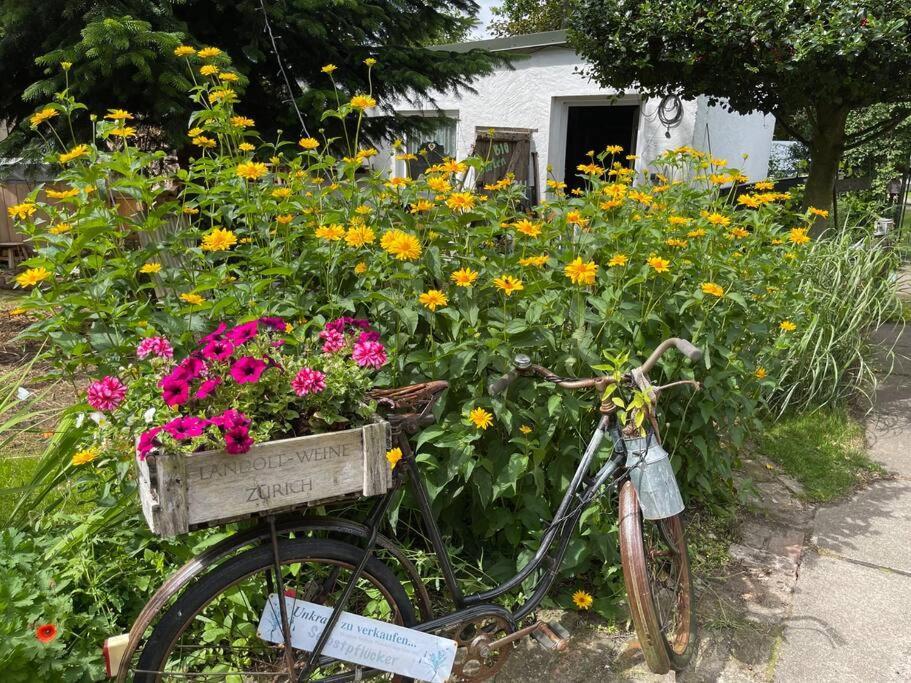 Tiny House Ostsee # Naturwerk Pruchten Eksteriør bilde