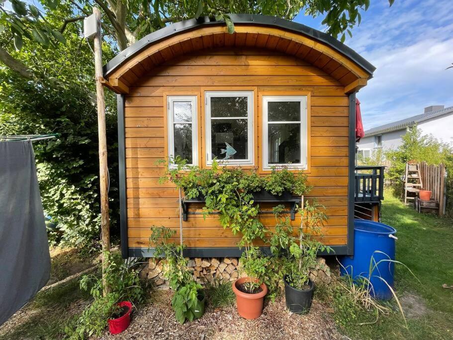 Tiny House Ostsee # Naturwerk Pruchten Eksteriør bilde