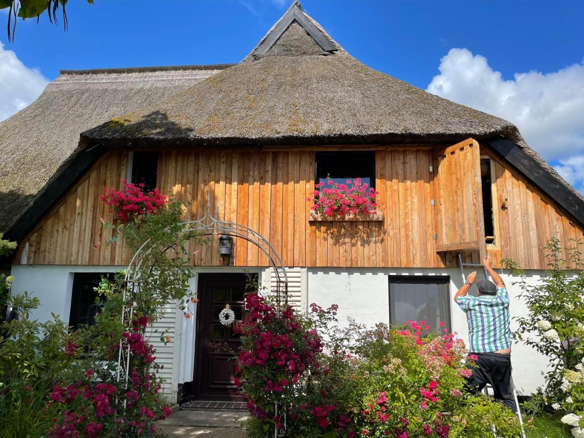 Tiny House Ostsee # Naturwerk Pruchten Eksteriør bilde