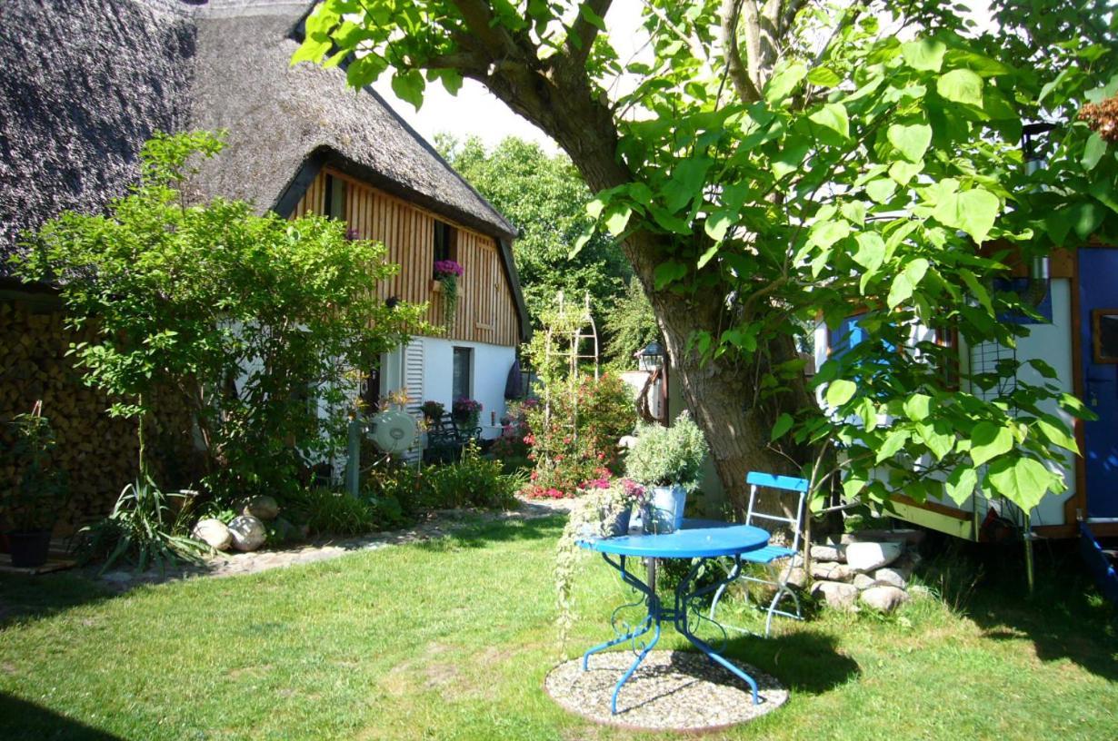 Tiny House Ostsee # Naturwerk Pruchten Eksteriør bilde
